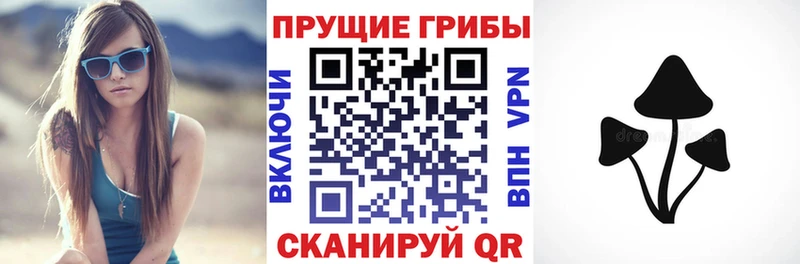 hydra онион  цена   Елизаветинская  Псилоцибиновые грибы ЛСД 